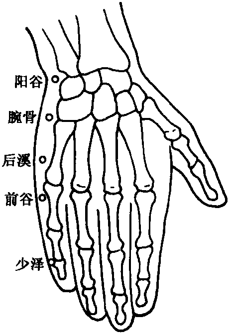 乳痈西医图片